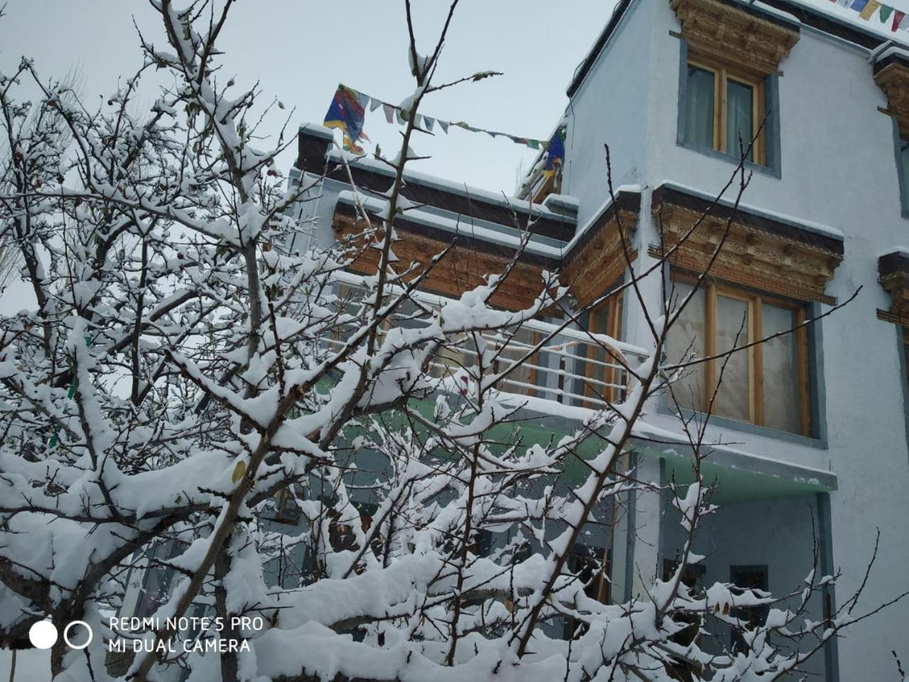 The Morning Sky Hotel Leh Exterior foto