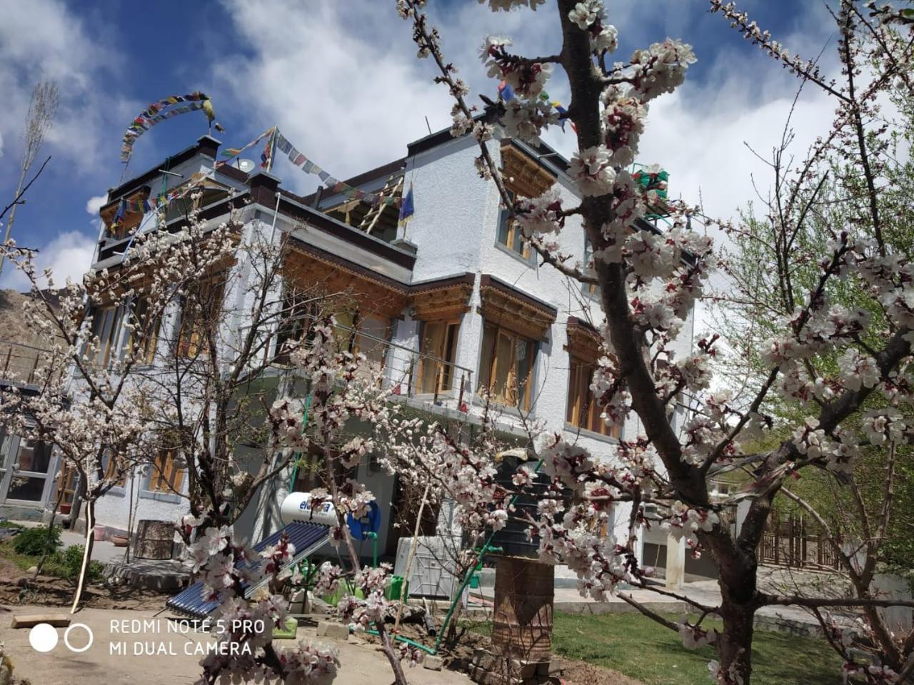 The Morning Sky Hotel Leh Exterior foto